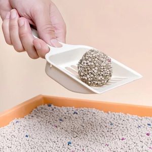 Arena para Gatos