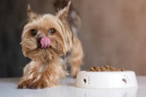 Alimento para Perros de Raza Pequeña